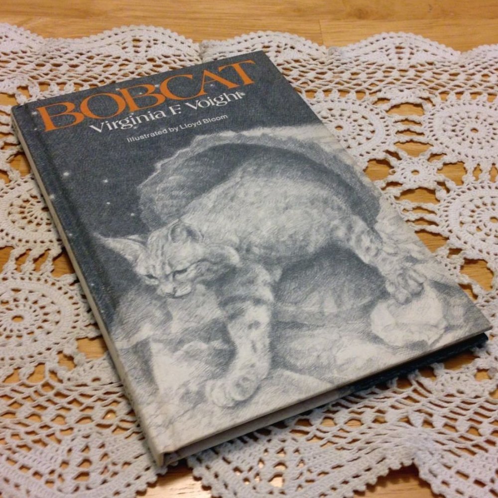 Book Sale! 3 for $10! Vintage Middle Grades Hardback - Bobcat